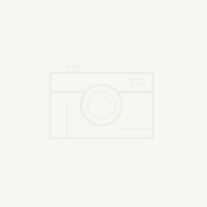 關(guān)于“綠城通行”App“實名卡掛失”功能平移至“鄭好辦”App的通知